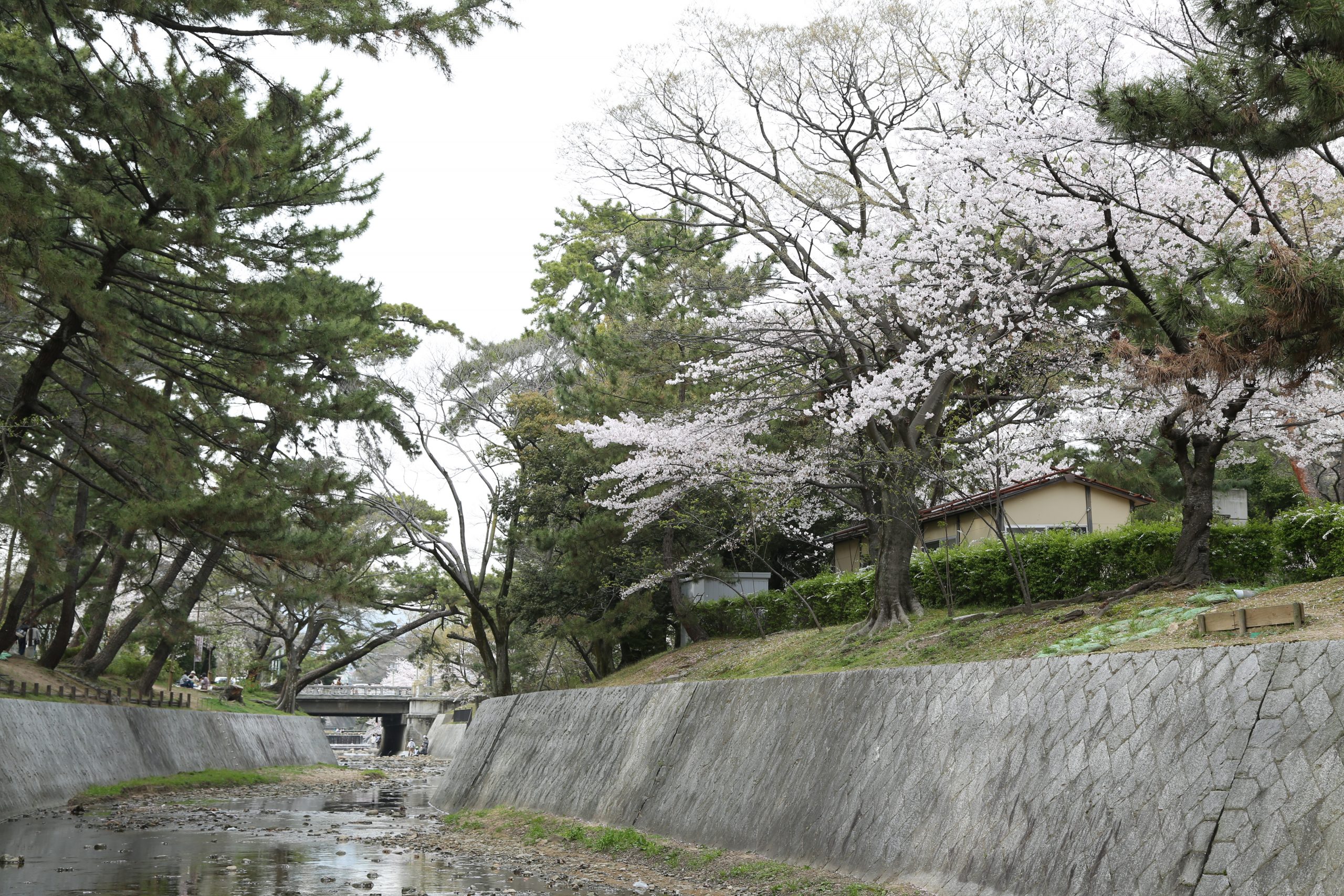 夙川