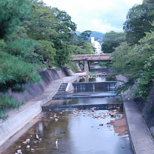 パインウエスト夙川